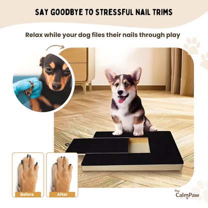 Dog Nail Trimming Board