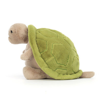 Turtle Timmy