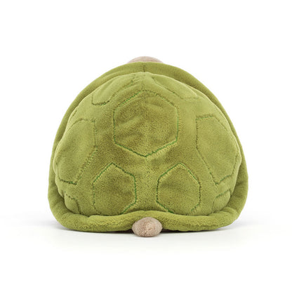 Turtle Timmy